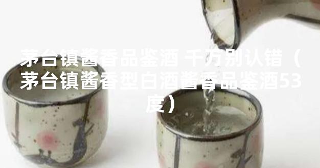 茅台镇酱香品鉴酒 千万别认错（茅台镇酱香型白酒酱香品鉴酒53度）